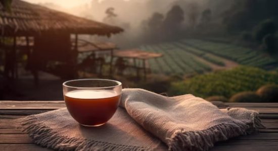 Чай пуэр Атоми