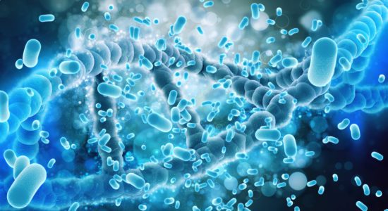 пробиотик атоми